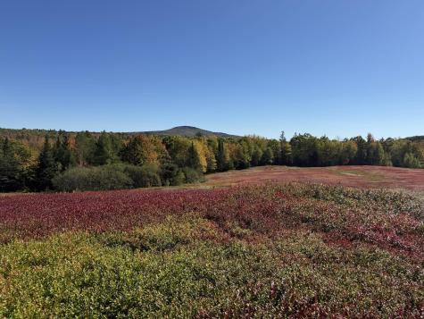 MAP31LOT29 Land-perkins Blue Hill ME 04614