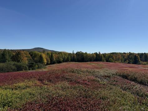 MAP31LOT29 Land-perkins Blue Hill ME 04614