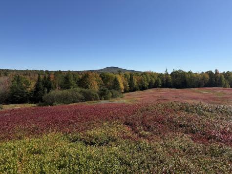 MAP31LOT29 Land-perkins Blue Hill ME 04614