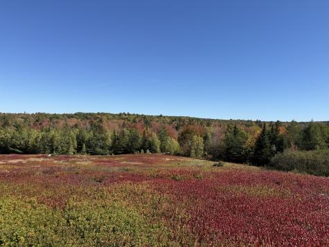 MAP31LOT29 Land-perkins Blue Hill ME 04614