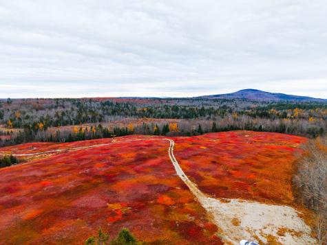 MAP31LOT29 Land-perkins Blue Hill ME 04614