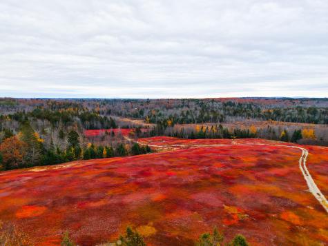 MAP31LOT29 Land-perkins Blue Hill ME 04614