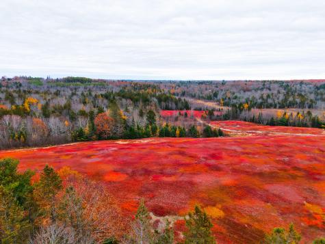 MAP31LOT29 Land-perkins Blue Hill ME 04614