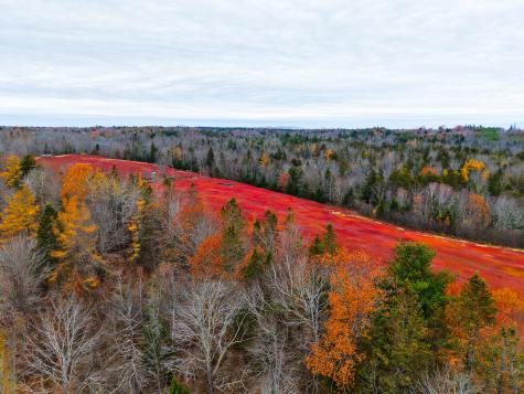 MAP31LOT29 Land-perkins Blue Hill ME 04614