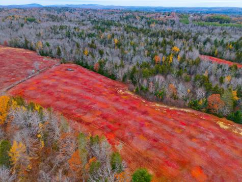 MAP31LOT29 Land-perkins Blue Hill ME 04614