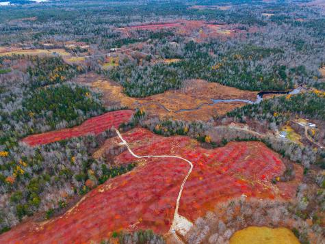 MAP31LOT29 Land-perkins Blue Hill ME 04614