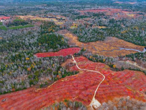 MAP31LOT29 Land-perkins Blue Hill ME 04614