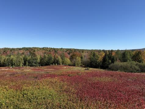 MAP31LOT29 Land-perkins Blue Hill ME 04614