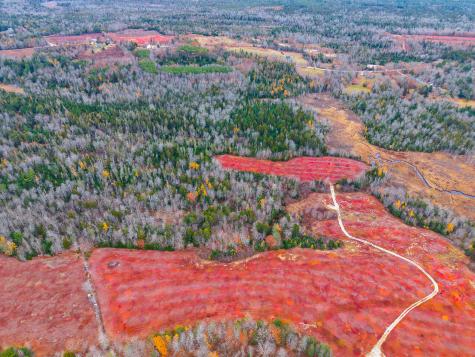 MAP31LOT29 Land-perkins Blue Hill ME 04614