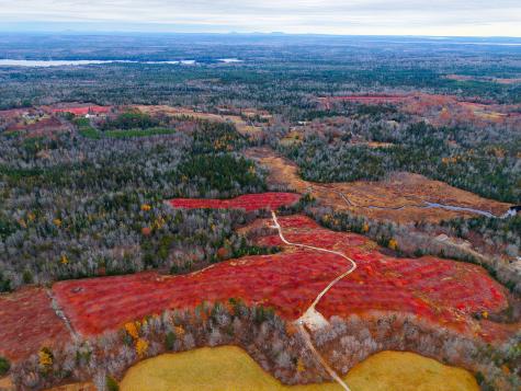 MAP31LOT29 Land-perkins Blue Hill ME 04614