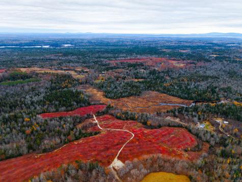 MAP31LOT29 Land-perkins Blue Hill ME 04614