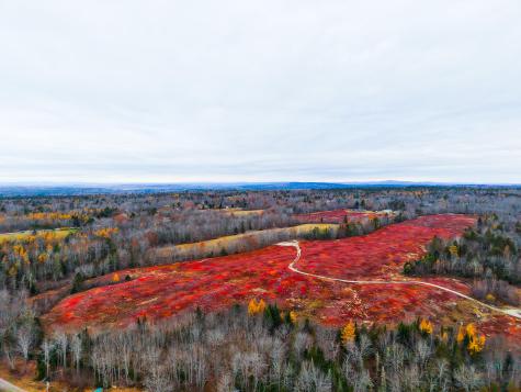 MAP31LOT29 Land-perkins Blue Hill ME 04614