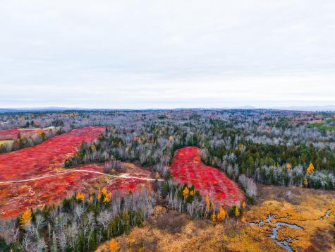 MAP31LOT29 Land-perkins Blue Hill ME 04614