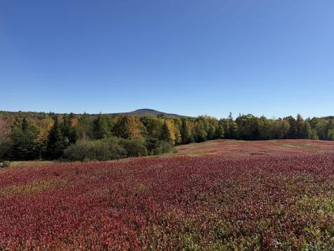 MAP31LOT29 Land-perkins Blue Hill ME 04614