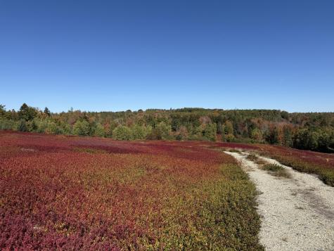 MAP31LOT29 Land-perkins Blue Hill ME 04614