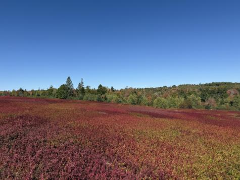 MAP31LOT29 Land-perkins Blue Hill ME 04614