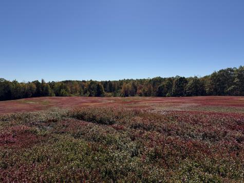 MAP31LOT29 Land-perkins Blue Hill ME 04614