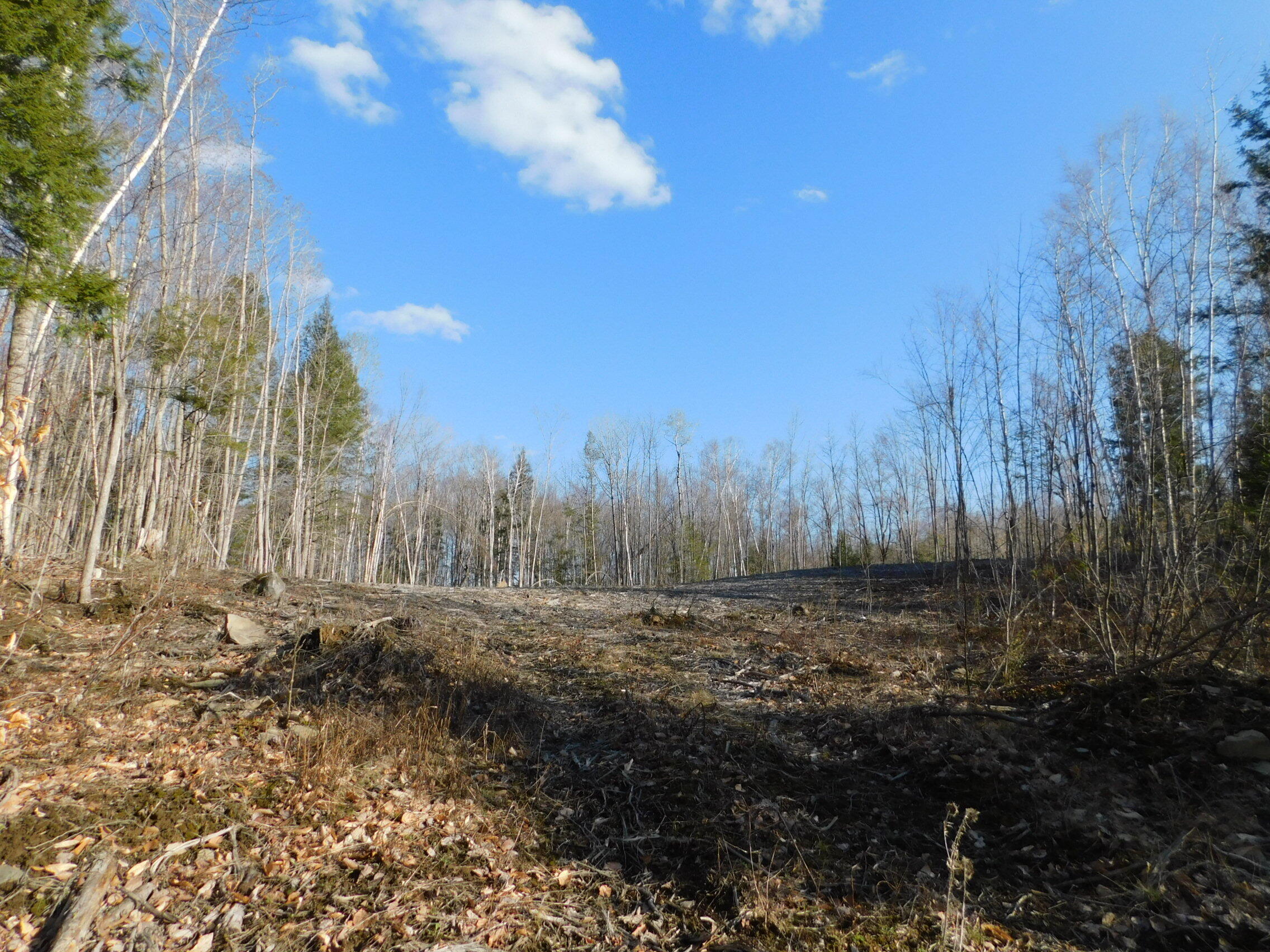 82 Bigelow Hill Road Skowhegan ME 04976