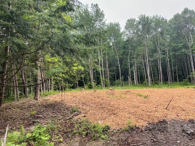 Lot 17 Charles Street Winthrop ME 04364