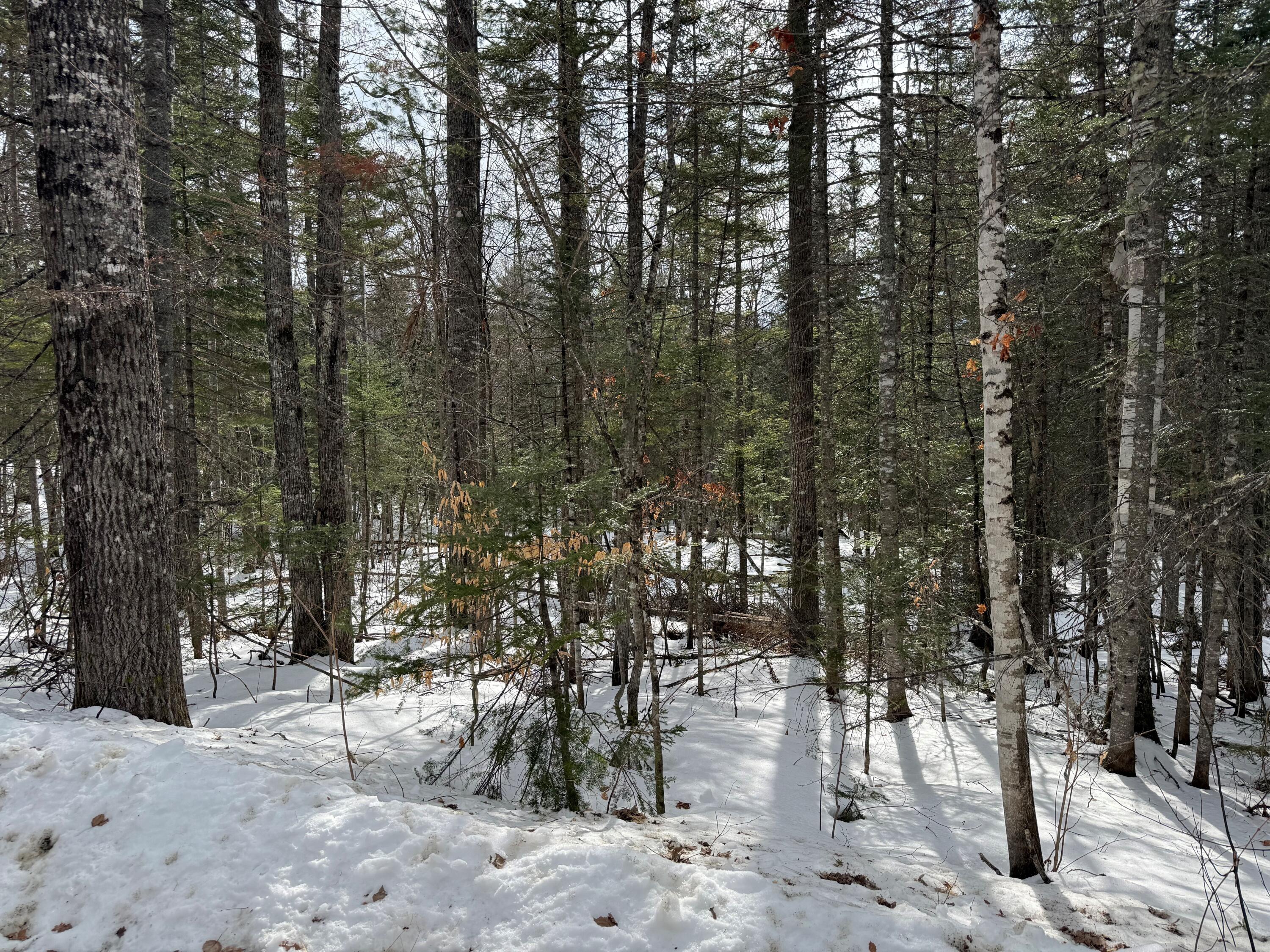 2001 West Street Carrabassett Valley ME 04947