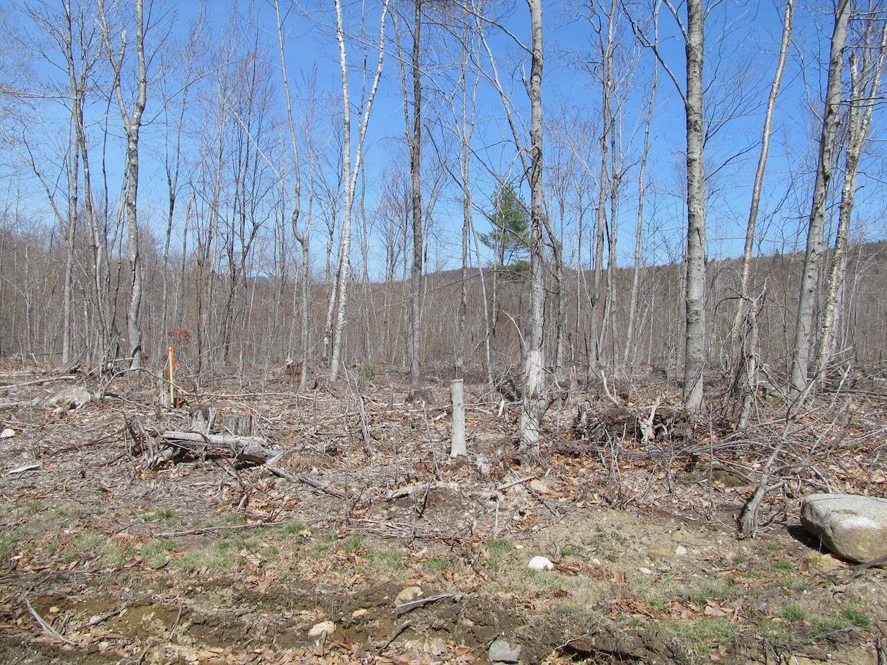 25-10 Klondike Hill Lane West Paris ME 04289