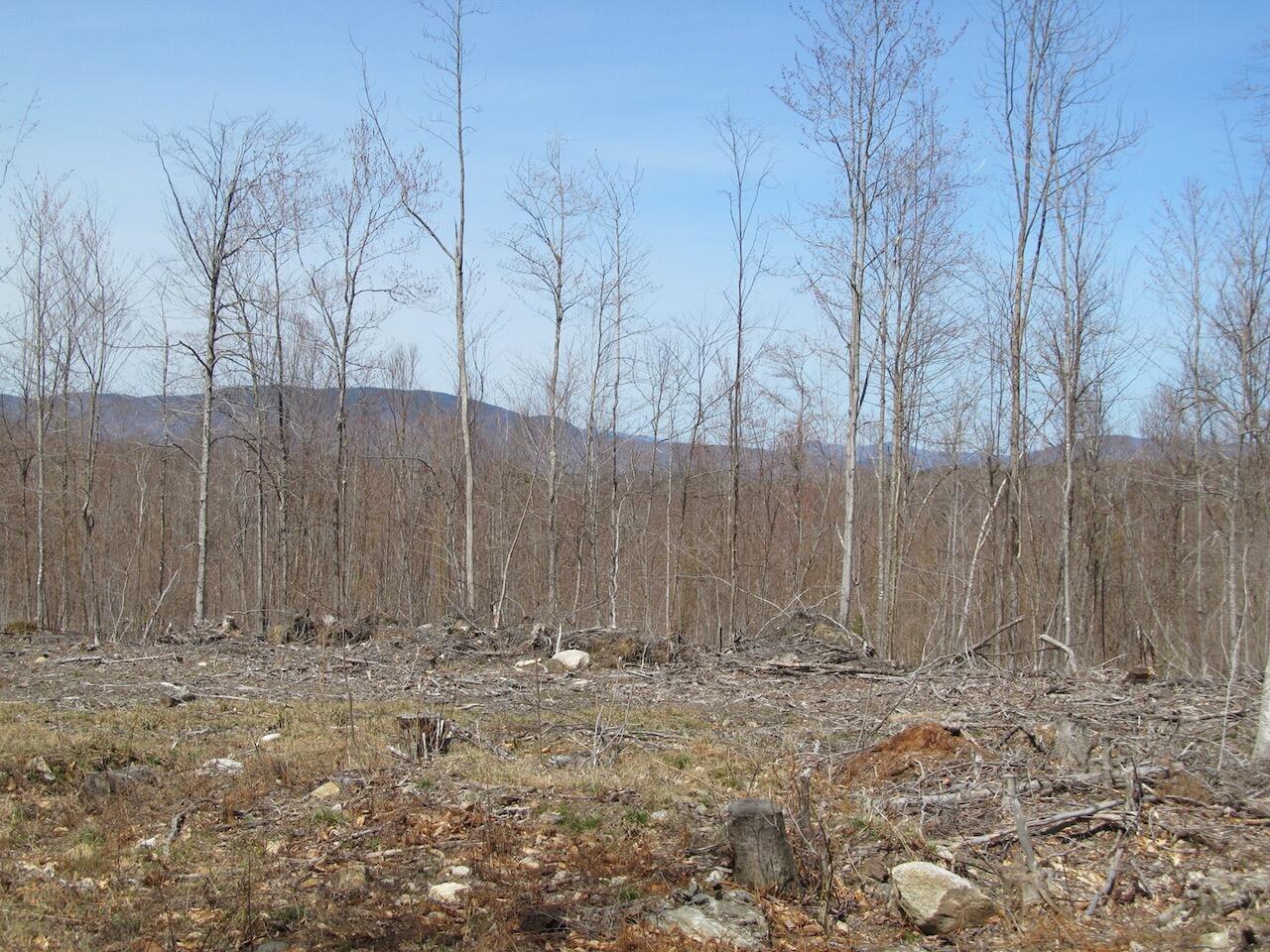 25-10 Klondike Hill Lane West Paris ME 04289