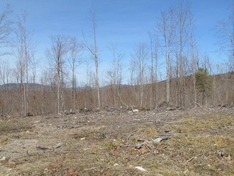 25-10 Klondike Hill Lane West Paris ME 04289