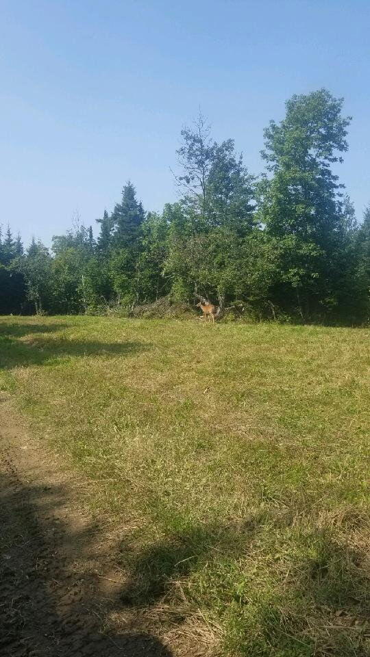 862 Hemore Road Hammond ME 04730