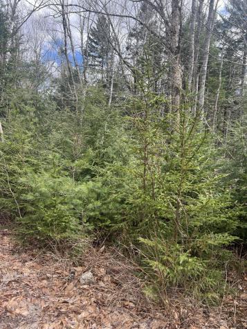 209 Sandy Acres Drive Sullivan ME 04664