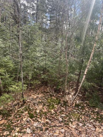 209 Sandy Acres Drive Sullivan ME 04664