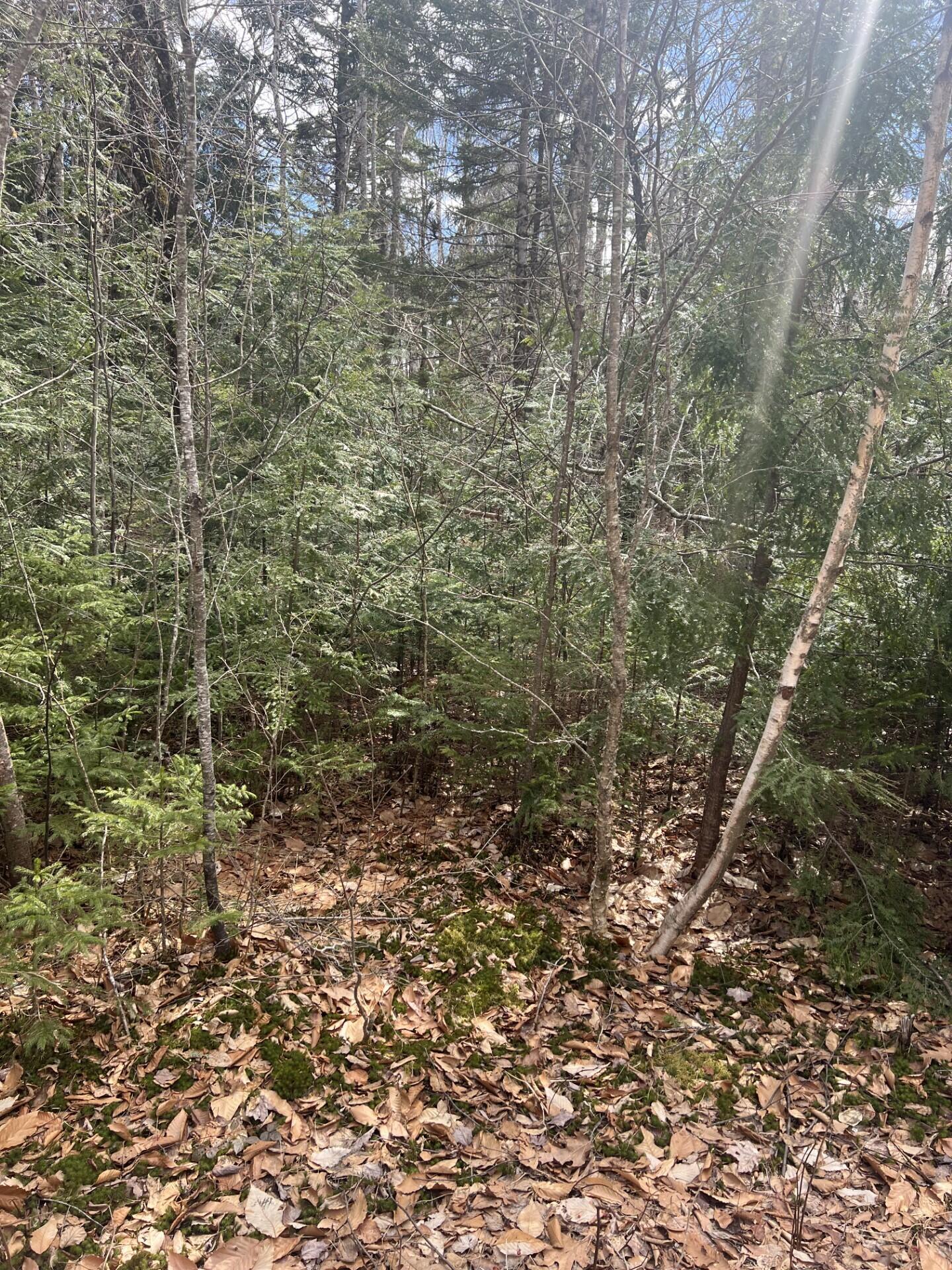 209 Sandy Acres Drive Sullivan ME 04664