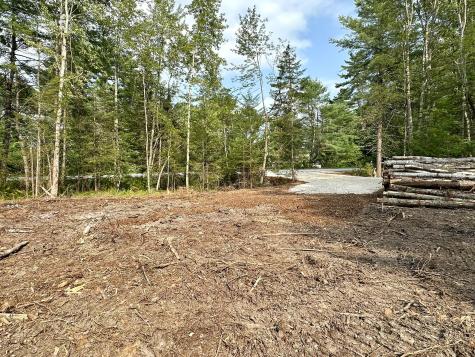 Lot 3c Bridge Street Newfield ME 04056