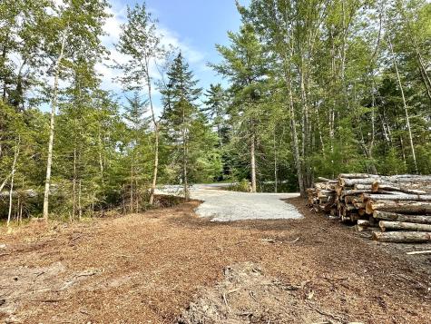Lot 3c Bridge Street Newfield ME 04056