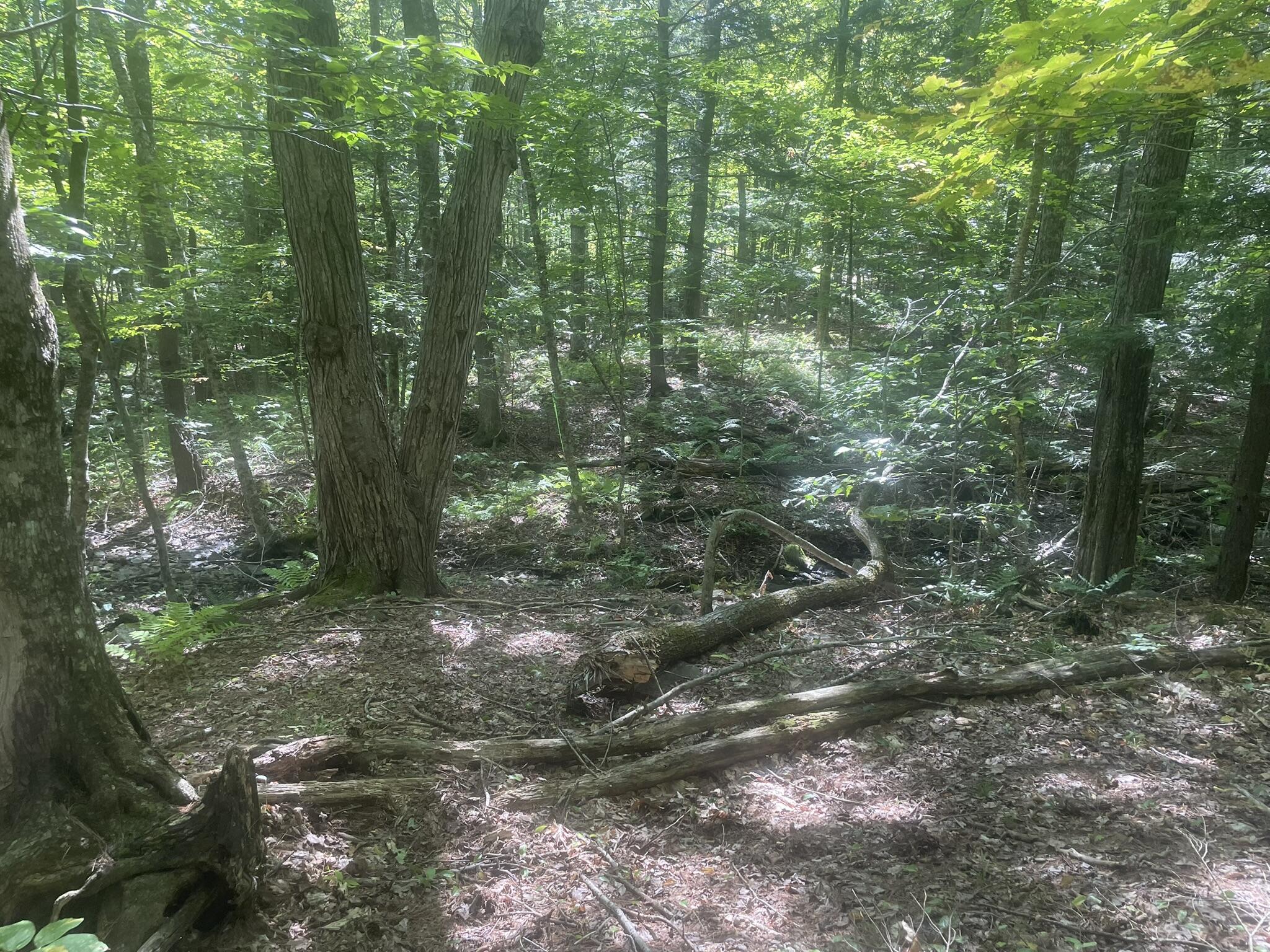 34 Gerber Lane Monmouth ME 04259