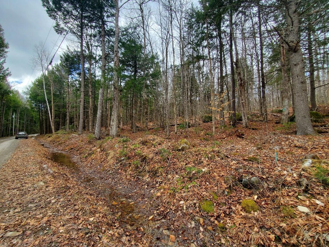 0 Sandy Beach Road Danforth ME 04424