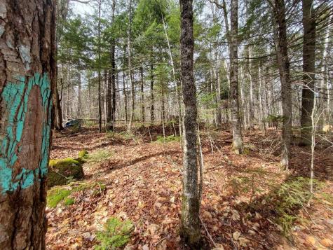 0 Sandy Beach Road Danforth ME 04424