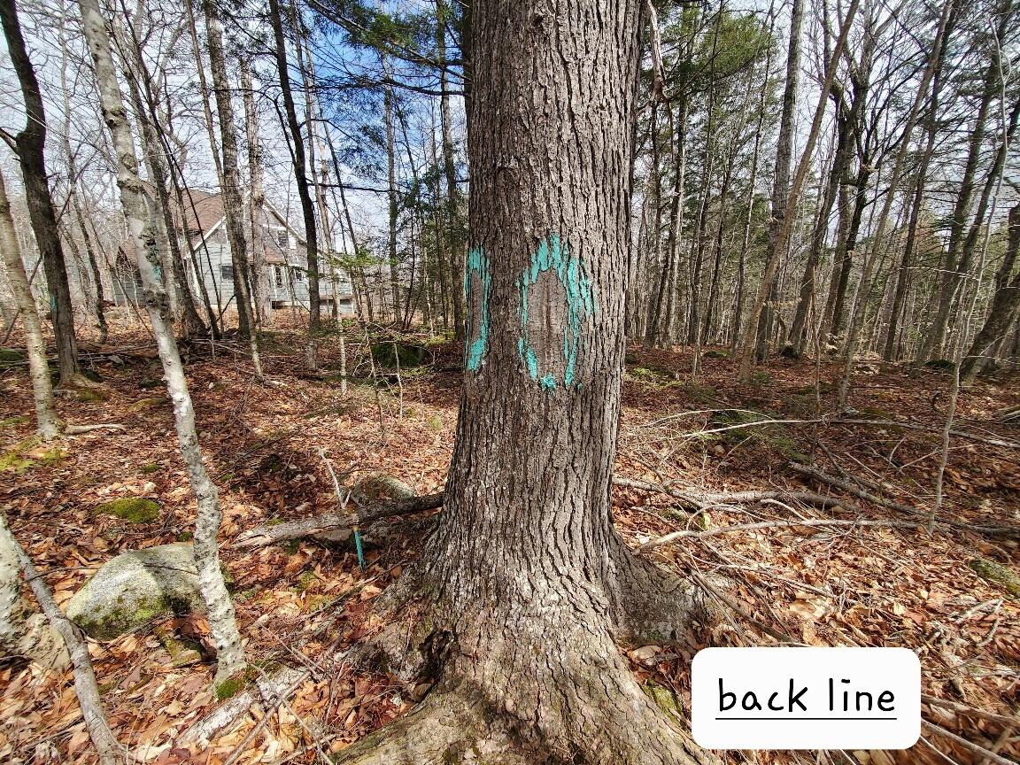 0 Sandy Beach Road Danforth ME 04424