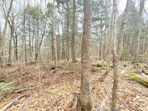 0 Sandy Beach Road Danforth ME 04424