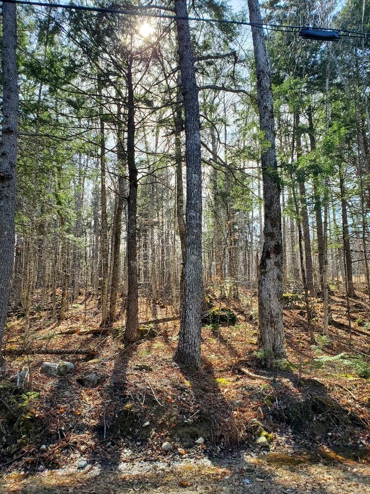 0 Sandy Beach Road Danforth ME 04424