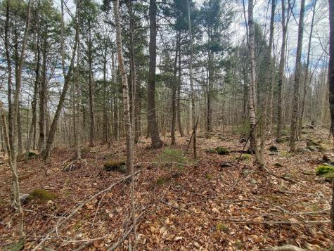 0 Sandy Beach Road Danforth ME 04424