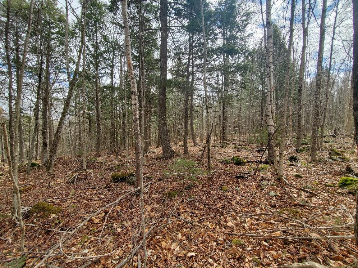 0 Sandy Beach Road Danforth ME 04424
