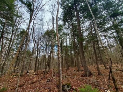 0 Sandy Beach Road Danforth ME 04424