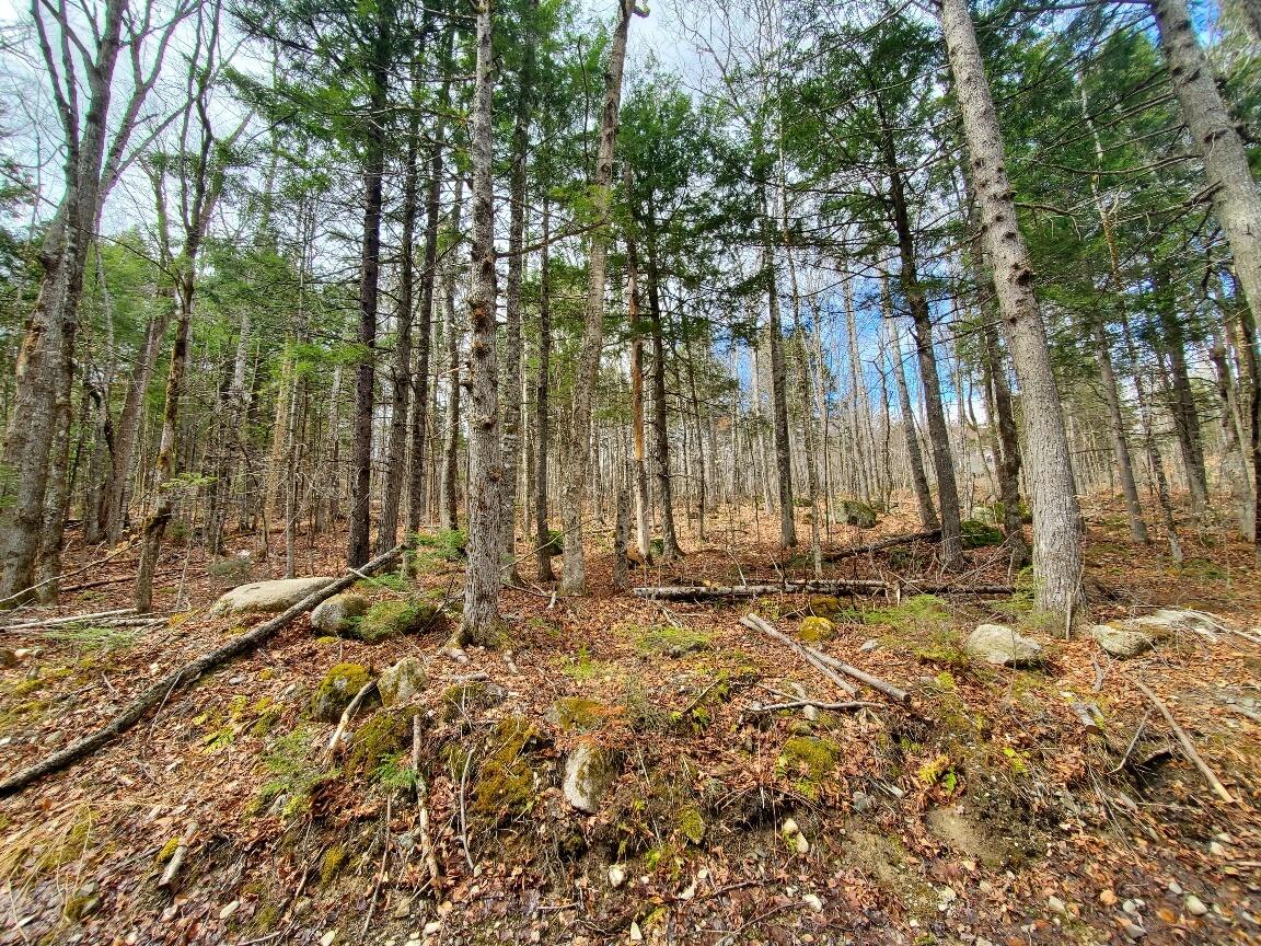 0 Sandy Beach Road Danforth ME 04424
