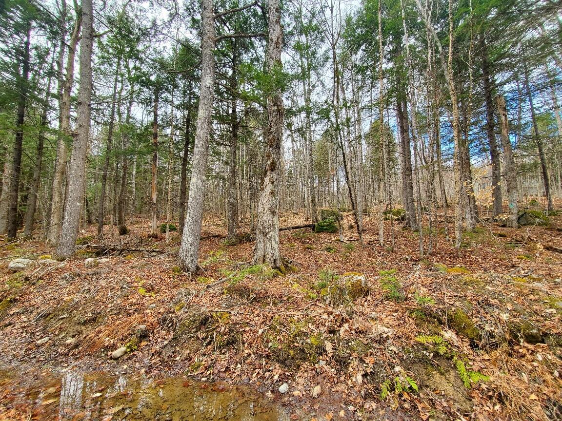 0 Sandy Beach Road Danforth ME 04424