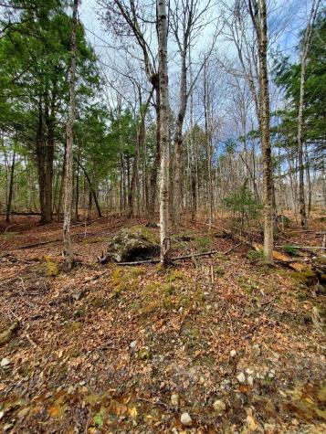 0 Sandy Beach Road Danforth ME 04424