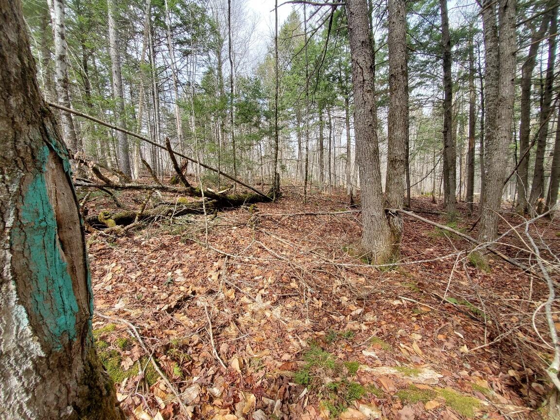 0 Sandy Beach Road Danforth ME 04424