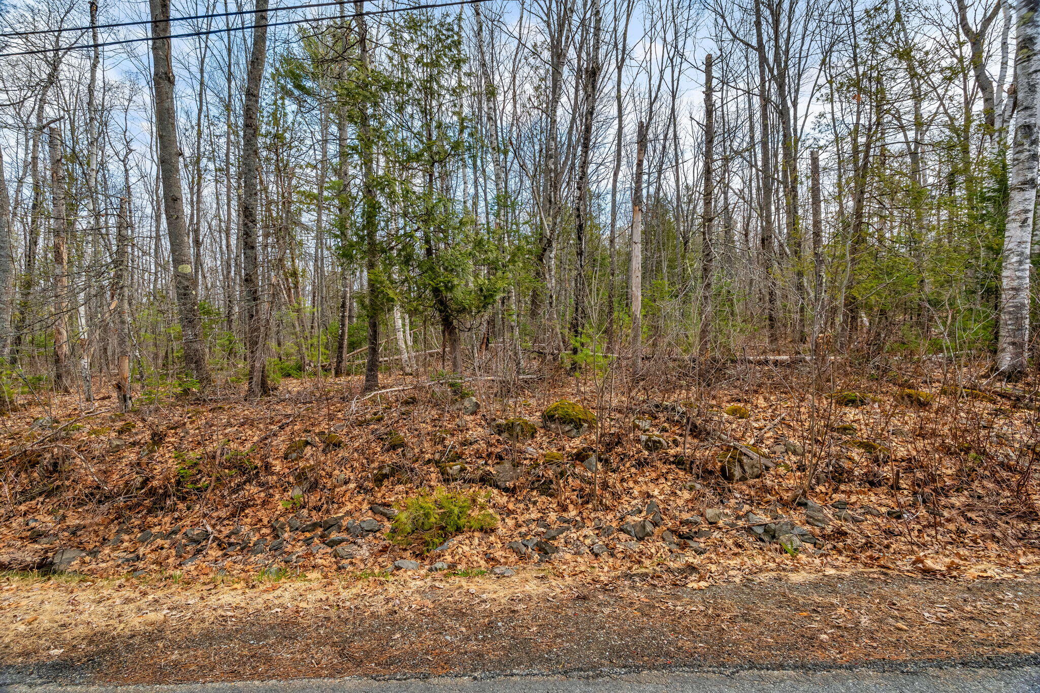 Lot 48 Manning Mill Road Hampden ME 04444