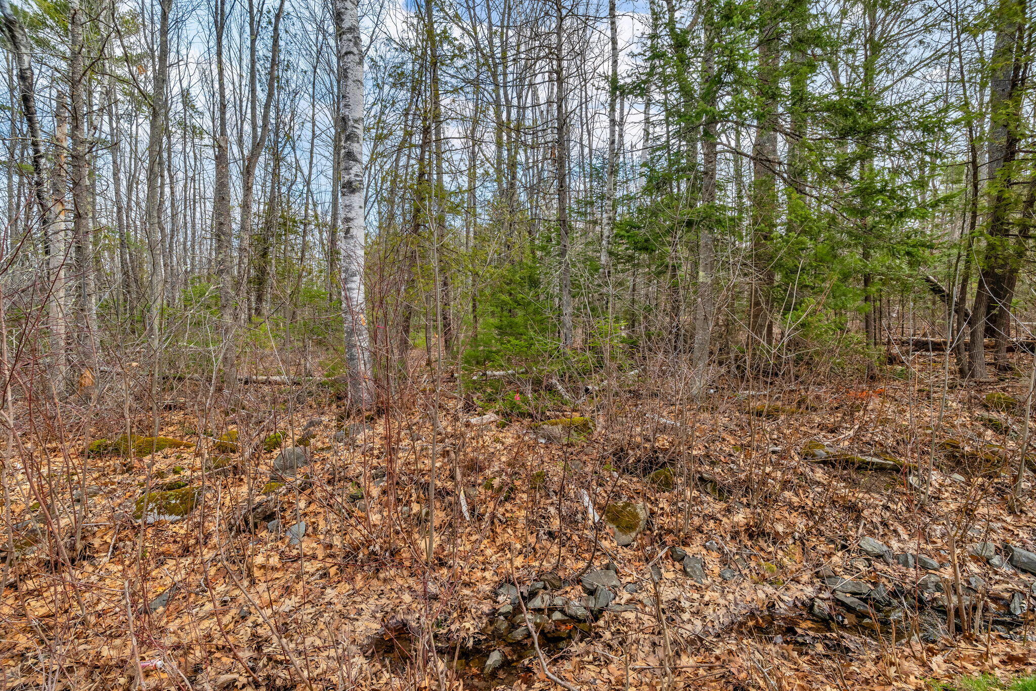Lot 48 Manning Mill Road Hampden ME 04444