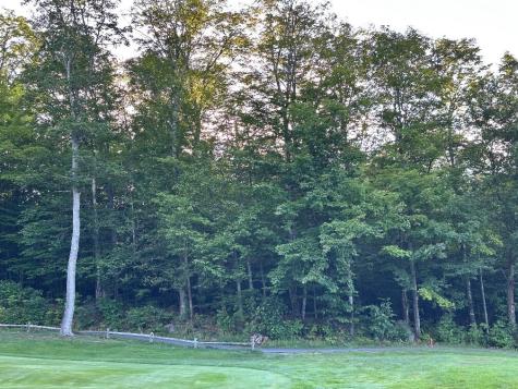 6099 All Village On The Green Road Carrabassett Valley ME 04947