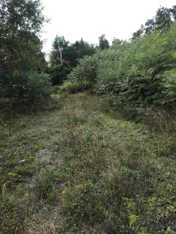 M1978 L92h Route 9 Crawford ME 04694